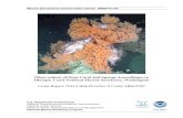 Observations of Deep Coral and Sponge …...Observations of Deep Coral and Sponge Assemblages in Olympic Coast National Marine Sanctuary, Washington Cruise Report: NOAA Ship McArthur