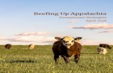 Beefing Up Appalachia - kitchentableconsultants.com · Stroud, A., Fedorko, E. Beefing up Appalachia, Downstream Strategies. 3-2018. Table of Contents Introduction Page 4 Meat Value