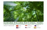 GUNUNG PALUNG NATIONAL PARK...Free Powerpoint Templates Page 15 Gunung Palung National Park 108,000 Ha protected areas. One of the most biodiverse rainforest in Indonesia. 65,000 people