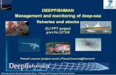 DEEPFISHMAN Management and monitoring of deep-sea ... · Impact on VME not only generated by deepsea fisheries Need for a spatial planning approach for all fisheries Management implications