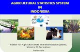 AGRICULTURAL STATISTICS SYSTEM IN INDONESIA · Forestry Statistics . Pusat Data dan Informasi Pertanian Coordination of Agricultural Statistics NSO CENTRAL Ministry of Agriculture