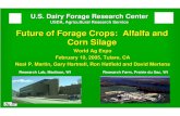 Future of Forage Crops: Alfalfa and Corn Silage...USDFRC Future of Forage Crops: Alfalfa and Corn Silage Alfalfa and Corn Silage production and acreage Advantages of alfalfa for dairy