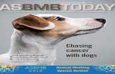 Chasing cancer with dogs€¦ · CHASING CANCER WITH DOGS. 14. MEET BERNHARD KÜSTER. 16. STEAM. Real science gets inked! 20. ANNUAL MEETING SPECIAL SECTION . 22 Theme Articles 34