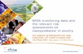 EFSA monitoring data and the relevant risk assessments on · 2016-10-17 · (N= 91,034) Campylobacteriosis was the most frequently reported zoonosis in 2012: 55.49 cases per 100,000