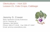 Olericulture Hort 320 Lesson 21, Cole Crops, Cabbageextension.wsu.edu/spokane/wp-content/uploads/sites/... · Olericulture – Hort 320 Lesson 21, Cole Crops, Cabbage Jeremy S. Cowan