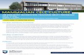 Mammalian Cell Culture Training Program · MAMMALIAN CELL CULTURE CLICK HERE TO REGISTER NOW! COURSE PROGRAM SYNOPSIS: Chinese Hamster Ovary (CHO) is the cell expression system of