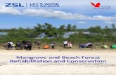 Mangrove and Beach Forest Rehabilitation and Conservation · 2017-05-22 · forest nursery, century old Sonneratia alba (pagatpat), and learn from the success stories of the PO that
