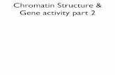 Chromatin Structure & Gene activity part 2w3.biosci.utexas.edu/.../8_2009Ch13Chromatin2_1.pdf · 2010-08-09 · Chromatin is the complex of DNA, histones and non-histone proteins