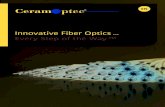 Innovative Fiber Optics … Every Step of the Way™ · 2016-06-27 · High NA pure silica / silica core fiber CeramOptec®’s Optran® Plus is the highest NA pure fused silica core