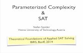 Parameterized Complexity SAT · The Gentle Revolution of Parameterized Complexity • Bioinformatics, Operations Research, Optimization, Automated Reasoning, etc." • 4 Monographs"-[Downey&Fellows