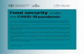 Food security under the COVID-19 pandemic · 2020-05-26 · Food security under the COVID-19 pandemic The pandemic caused by the new coronavirus will result in increased hunger and