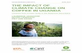 OXFAM RESEARCH REPORTS APRIL 2013 THE IMPACT OF CLIMATE CHANGE ON COFFEE … · 2013-04-09 · 2 The Impact of Climate Change on Coffee in Uganda EXECUTIVE SUMMARY Coffee is a major