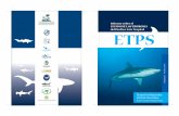 Informe sobre el ESTADO DE LOS TIBURONES ETPS · Al mismo tiempo, resultados de censos visuales indican que las áreas preferidas por los tiburones suelen coincidir con una mayor
