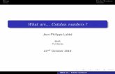 What are Catalan numbers? - Freie Universität · 2020-07-15 · enumerated by Catalan numbers :-M. Kuchinski found 31 structures and 158 bijections between them (PhD thesis, 1977);-R.
