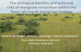The ecological benefits and potential risks of …...The ecological benefits and potential risks of mangrove restoration within the Texas salt marsh-mangrove ecotone Anna R. Armitage