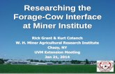Researching the Forage-Cow Interface at Miner Institute · Corn silage BMR/Conventional? ... (Cotanch et al., 2009) Ball mill with ceramic balls mimics chewing action (Jim Welch,