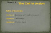 Chapter 4 The Cell in Action...Table of Contents Section 1 Exchange with the Environment Section 2 Cell Energy Section 3 The Cell Cycle Chapter 4 The Cell in ActionSection 1 Exchange