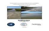 Developing Environmental Flows for Fish and Wildlife: A …outdoornebraska.gov/wp-content/uploads/2015/11/Niobrara... · 2015-11-23 · This project was funded by the Nebraska Game