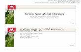 Crop Scouting Basics - Women in Agriculture | Nebraska · 2020-02-19 · •Round Up Ready 2 Xtend- Glyphosate and Dicamba •Enlist E3- 2-4D choline, Glyphosate, and Liberty •Liberty