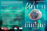Poster: What is ciguatera? · Ciguatera is a problem in tropical areas around the world. Ciguatera is common in many areas of the Caribbean, Indian Ocean and Pacific. Which fish cause