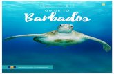 GUIDE TO Barbadosmediaserver.travelcounsellors.co.uk/DestinationGuides/Barbados... · If you’re looking for not only excellent food but also a memorable experience then look no