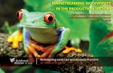 MAINSTREAMING BIODIVERSITY IN THE PRODUCTION SECTORS meeting doc/gpbb-04... · • >11.4M ha set-aside in natural ecosystem reserves in production landscapes – connected by corridors