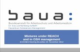 Dr. Eva Lechtenberg-Auffarth Hazardous Substances Managementecha.europa.eu/documents/10162/13587/1_2_baua_mixtures... · 2012-12-07 · Hazardous Substances Management Mixtures under