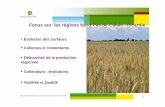 Focus sur les régions Nord Pas de Calais - Picardie...Nord Pas de Calais - Picardie Qualité des blés Humidité et PS Source FranceAgriMer caractéristiques 2013 2014 moy 10 ans