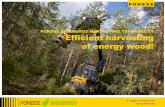 Efficient harvesting of energy wood! - HandMade …...3 4.11.2010 NSx / Efficient harvesting of energy wood Targets for using forest chips set in Finland‟s National Forest Program: