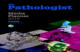 Media Planner 2018 - The Pathologist · 2018-03-26 · all fonts are embedded, and that all images used within are CMYK and at least 300dpi in quality. Bleed: Please supply with 3mm