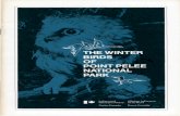 THE WINTER BIRDS POINT PELEE NATIONAL PARKparkscanadahistory.com/wildlife/winter-birds-point-pelee-1973.pdf · the birds. Fringilline winter-visitors:—Some of the fringillids that