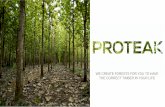 WE CREATE FORESTS FOR YOU TO HAVE THE CORRECT TIMBER …pelice-expo.com/presentations/Tejado-Why-Proteak.pdf · We make a difference in the population of one of the poorest parts