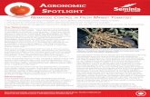Nematode Control in Fresh Market Tomatoes...Agronomic Spotlight Nematode CoNtrol iN Fresh market tomatoes » Root-knot nematodes and sting nematodes can cause significant yield losses