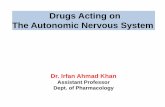 Drugs Acting on The Autonomic Nervous SystemDrugs Acting on The Autonomic Nervous System Dr. Irfan Ahmad Khan Assistant Professor Dept. of Pharmacology. Autonomic Drugs: • Drugs