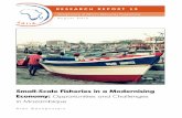 Small-Scale Fisheries in a Modernising Economy · (Projecto de Pesca Artesanal em Nampula) NEPAD New Partnership for Africa’s Development PPP public participation process UNEP UN
