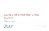 Long and Short the China Dream - ValueWalk · Dream Anne Stevenson-Yang April 13, 2016 Micro to Macro China has been a Silicon Valley ca. December ... Intime—look either like loans