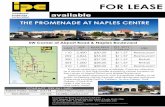 THE PROMENADE AT NAPLES CENTRE · Licensed Real Estate Broker The statement and figures presented herein, while not guaranteed, are secured from sources we believe authoritative.