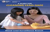 A Guide to Cleaning Lead-Safe€¦ · Cleaning Lead-Safe: Children & Laundry Toys & Blankets Always wash or wipe down toys, blankets, and other items your child uses or plays with.