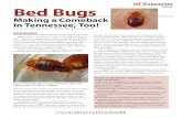 Making a Comeback in Tennessee, Too! urban forestry/Bed... · Bed bug bites may cause complications. Asthmatic symptoms have been reported as a result of a bed bug bite, and one person