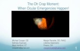 The Oh Crap Moment: When Ocular Emergencies Happen!€¦ · Lindsey J, Bowes Hamill M. Chapter 15. Scleral and Corneoscleral Injuries from Ocular Trauma: Principles and Practice.