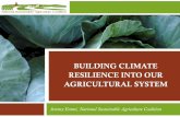 BUILDING CLIMATE RESILIENCE INTO OUR ...BUILDING CLIMATE RESILIENCE INTO OUR AGRICULTURAL SYSTEM Jeremy Emmi, National Sustainable Agriculture Coalition Climate change may bring a