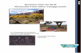 Business Plan for BLM Monticello Field Office Campgrounds€¦ · Canyon Country District . 5 Final Business Plan for BLM . Monticello Field Office Campgrounds . Executive Summary