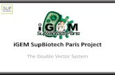 iGEM SupBiotech Paris Project2009.igem.org/files/presentation/SupBiotech-Paris.pdf · Presentation Tissue About: Treatment efficiency Modeling Presentation Tissue Cell Cell ModelingModeling