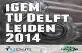 iGEM TU Delft Leiden2014.igem.org/wiki/images/7/75/Delft2014_IGEM_Brochure.pdf · iGEM Team: TU Delft Leiden 2014 Some teams also make their own gadget based on their synthetically
