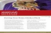 Before You Plan to Raise a Flock - University Of Maryland€¦ · 2013 x Raising Your Home Chicken Flock A successful backyard flock requires sound animal care and management, which
