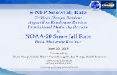 S-NPP Snowfall Rate - STAR · Critical Design Review Algorithm Readiness Review Provisional Maturity Review ... There shall be a combined Project Requirements Review (PRR) and Preliminary