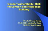 Gender and vulnerability, MunichRe.,14-11-05ppt.ppt ...hexagon-series.org/pdf/Gender_and_vulnerability.pdf · production, res publica, homo sapiens; and to the woman the private one: