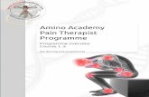 Amino Academy Pain Therapist Programme...Programme overview The Amino Pain Therapy Programme provides theparticipants with a unique opportunity to learn about the theoretical insight,