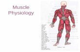 Muscle Physiology208.93.184.5/~jones/bio121/musclephys.pdf · Muscle Physiology . 3 Types of Muscles 1. skeletal- longest muscle cell, striated, voluntary, elongated, multi-nucleated