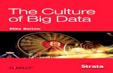 The Culture of Big Data - touque.catouque.ca/EC/resources/cs/ICT_backgrounder/big_data/culture.pdfCreating a sustainable analytics function within a larger corporate en‐ tity requires